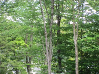 84 Sands O Time Rd, Canaan, NH 03741