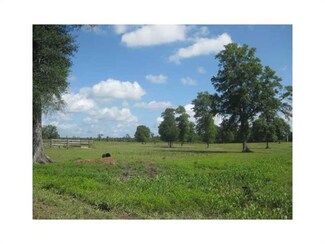 0 Zander Ln Unit 995238, Albany, LA 70711