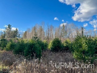 11.4 Acres Barker Rd, Amberg T-Wi, WI 54102