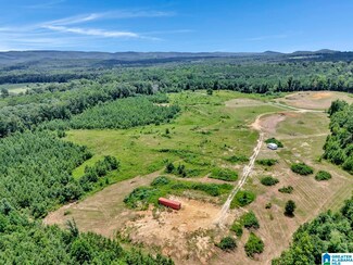 22 Blackberry Ln, Remlap, AL 35133