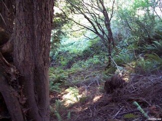 382 E Sunset Blvd, Cannon Beach, OR 97103
