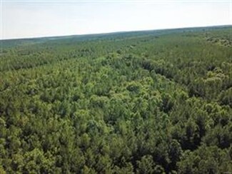 80 Old Sardis Church Rd, Eufaula, AL 36027