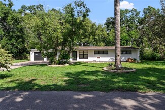 10306 Fore Dr, Tampa, FL 33612