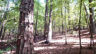 414 247 Country Rd, Bruce, MS 38915