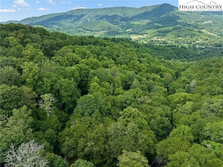 92A Wren Way, Beech Mountain, NC 28604