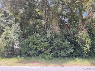 3953 E Sanders St, Inverness, FL 34453