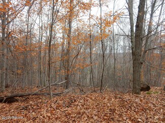 0 Black Cherry Dr Unit LOT 6 WB-94204, Laporte, PA 18626