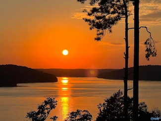 LOT 65 Fall Creek Dr, Guntersville, AL 35976