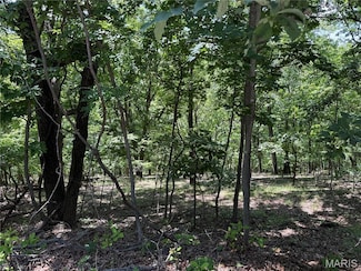 1361 Bear Canyon Rd, Ballwin, MO 63021