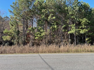 A-1-13 Elko Rd, Unadilla, GA 31091