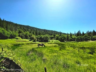 19647 Hyampom Rd, Hayfork, CA 96041