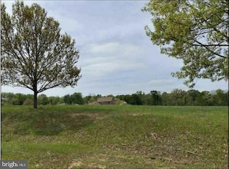 0 Private Spry ( Lot 50) Ln, Worton, MD 21678