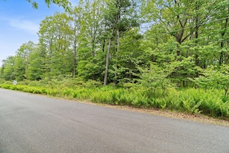 683 Wild Creek Dr, Penn Forest Township, PA 18229