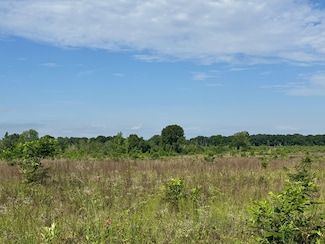Branchville Rd, Camilla, GA 31730