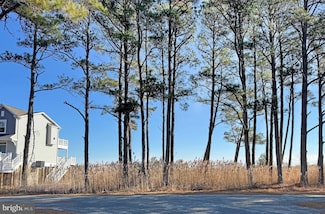 Lot 719 Castaway Dr, Greenbackville, VA 23356