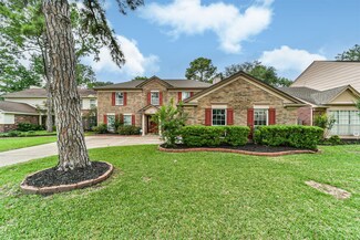 7411 Magnolia Shadows Ln, Houston, TX 77095