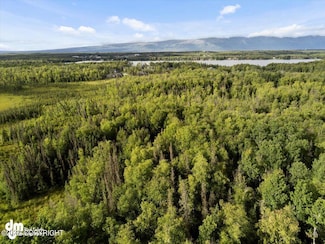 Tr C W Lake Lucille Dr, Wasilla, AK 99654