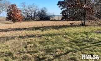 412 Eagle Dr, Meredosia, IL 62665
