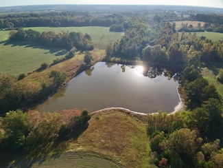 111 Acres County Road 661, Samson, AL 36477