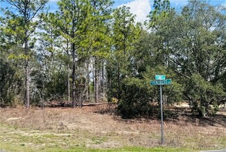 3563 W Eunice St, Dunnellon, FL 34433