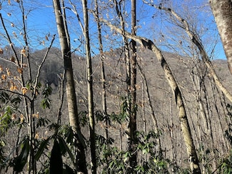 Tract 6 Upper North Fork Creek Rd, Sylva, NC 28779