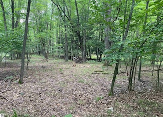 791 Elkhorn Way, Lincoln Township, MI 48622