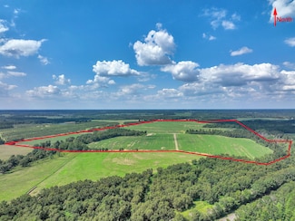 1200 Union Hill Rd, Pelham, GA 31779
