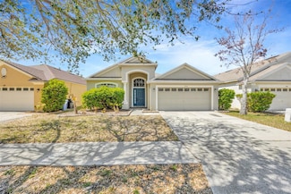 8714 Sandy Plains Dr, Riverview, FL 33578