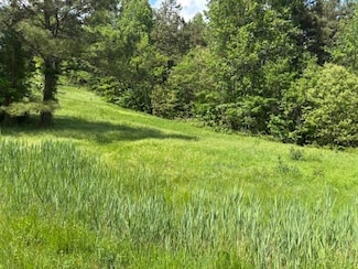 0 Henry Oates Rd Unit RA20252346, Graham, KY 42344