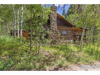 585 Washington Ave, Nederland, CO 80466