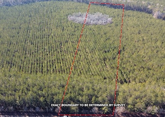 0 Red Oak Rd Unit 11439204, Cottageville, SC 29435