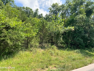 0 Eagles Ridge Unit 1305145, New Tazewell, TN 37825