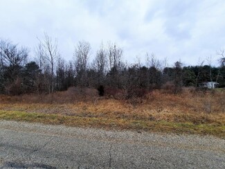 0 Gooding St Unit 20051308, Conklin, MI 49403