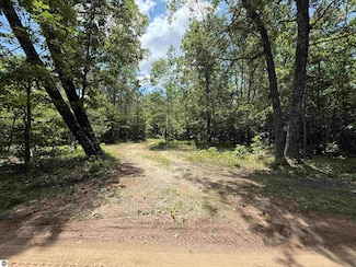 VL Carpenter Rd, Whittemore, MI 48770