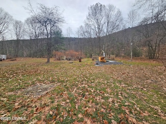 16 Spring Water Blvd, Brandonville, PA 17967