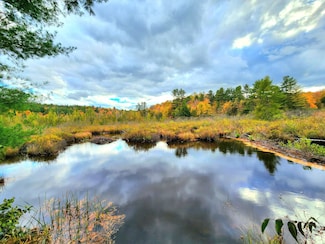 13331 Henry Rd, Natural Bridge, NY 13665