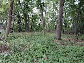 1272 Westlake Woods Dr, Springfield, MI 49037