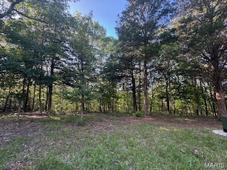 130 Steeple Point Dr Lot #12 Dr, Defiance, MO 63341