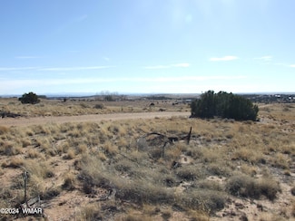 0 W, Snowflake, AZ 85937