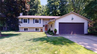 1295 Erieview Dr, Madison, OH 44057