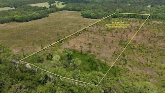 00 99th Ln Unit LotWP001, Dowling Park, FL 32060