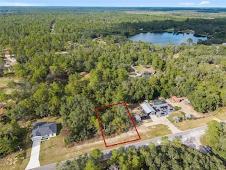 tbd Fisher Way, Ocklawaha, FL 32179