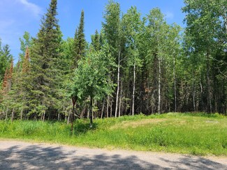 TBD County Road 138, Rainy Lake, MN 56649