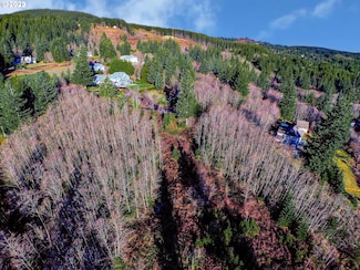 0 NE 69 St, Camas, WA 98607