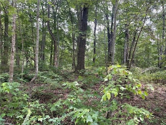 LT 17 Old Mill Rd, Providence, NC 27315
