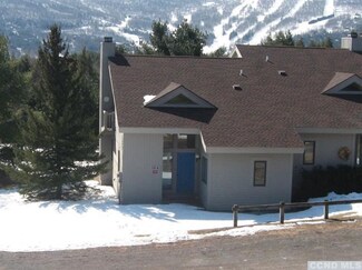 4-10 French Park Ct Unit 10 a, Windham, NY 12496