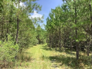 0 Damascus Hwy, Damascus, GA 39841