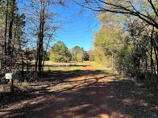 133 Scroggins Ln, Marietta, TX 75566