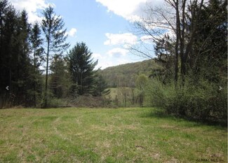 0 Parcel 1 Elsohn Rd Unit 201923466, Gallatin, NY 12567