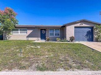 5533 Riddle Rd, Holiday, FL 34690